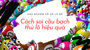 Lô bạch thủ